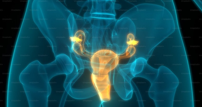 Best Hospital In Mumbai For Kidney Treatment.jpg